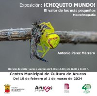 Arucas: La Exposición “¡Chiquito mundo! El valor de los más pequeños”, de Antonio Pérez Marrero, se mostrará en el Centro Municipal de Cultura