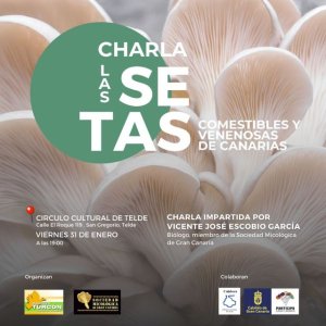 Charla Las setas comestibles y venenosas de Canarias un tesoro en nuestros montes y campos