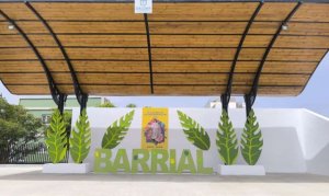 Gáldar: Las banderas embriagan las calles de Barrial de un ambiente festivo, por lo que la A.V. “Amagro” agradece la colaboración de todo el barrio