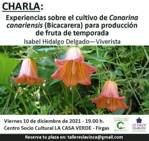 Firgas: Charla “Experiencias sobre el cultivo del Bicácaro para producción de fruta de temporada”