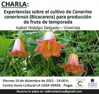 Firgas: Charla &ldquo;Experiencias sobre el cultivo del Bic&aacute;caro para producci&oacute;n de fruta de temporada&rdquo;