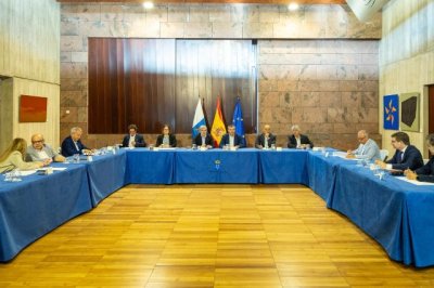 Clavijo recibe el apoyo de la mayor&iacute;a parlamentaria a la propuesta de acuerdo para modificar la Ley de Extranjer&iacute;a