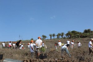 La Gomera: Concluye el programa del Día insular del Árbol con una actividad de plantación y convivencia