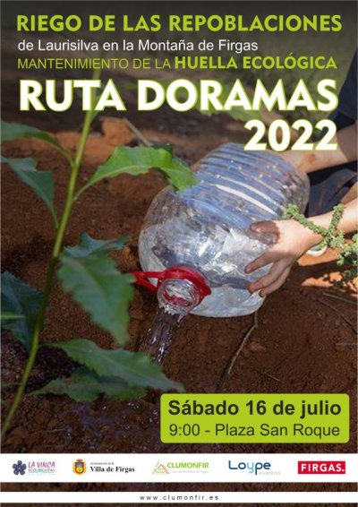 Villa de Firgas: Acción Medioambiental de riego y mantenimiento de las repoblaciones de Laurisilva en la Montaña