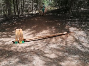 El Ayuntamiento de Guía denuncia actos vandálicos en la Reserva Natural Especial El Brezal