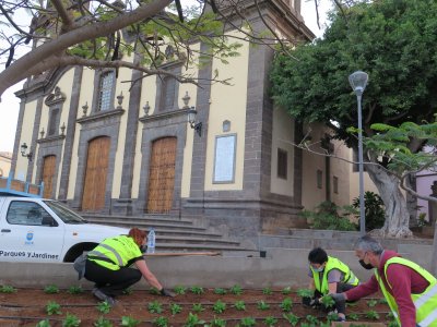 Guía: Los trabajadores del Programa de Empleo Social mejoran la imagen de los espacios públicos