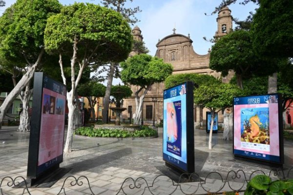 La Plaza de Santiago muestra hasta el 9 de septiembre los fondos de Sardina con una exposición colectiva sobre los once años de historia del FotoSub