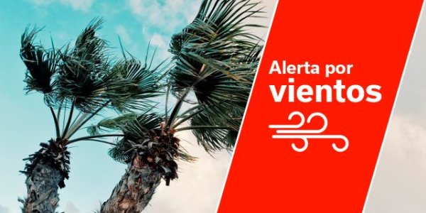 El Gobierno de Canarias declara Alerta por viento en La Palma, La Gomera, Tenerife y Gran Canaria