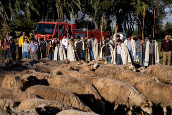 Artículo de opinión: &#039;Las protestas del campo&#039;, por Antonio Morales Méndez