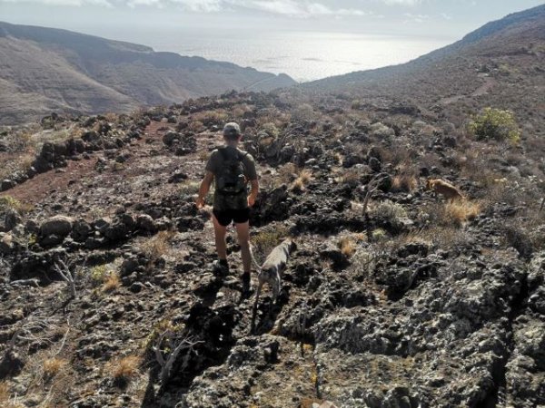 La Gomera: El Cabildo aprueba el calendario de caza con escopeta a partir del 18 de septiembre