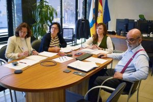 El Gobierno informa al Consejo Municipal de Canarias del Decreto Ley que agiliza las licencias urbanísticas