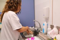 Sanidad conmemora el D&iacute;a Mundial de la Higiene de Manos con actividades de concienciaci&oacute;n