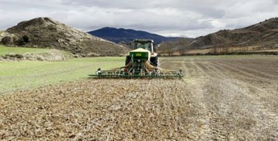 Las leguminosas: la asignatura pendiente de la agricultura espa&ntilde;ola