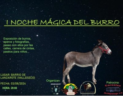 Valleseco: La noche mágica del burro en el pago de Lanzarote