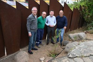 Gáldar: Huertas del Rey acoge una plantación de mimbreras para la artesanía