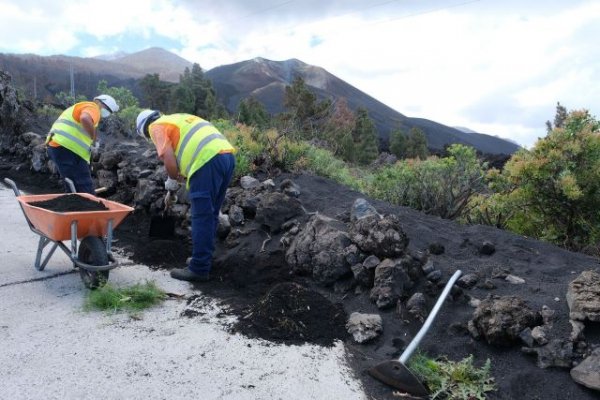 Ampliada la oferta de formación para personas desempleadas en La Palma