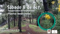 Senderismo de plantas medicinales en Valleseco por el D&iacute;a Mundial del Turismo