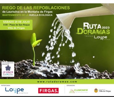 Acción Medioambiental de riego y mantenimiento de las repoblaciones de Laurisilva en la Montaña de Firgas el sábado 29 de julio