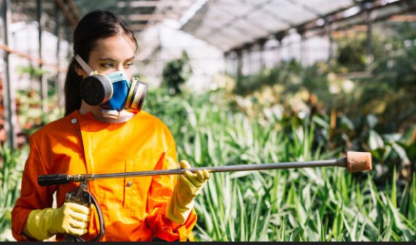 Arucas: La Concejalía de Agricultura, Ganadería y Pesca imparte el “curso de manipulador de productos fitosanitarios”, nivel básico