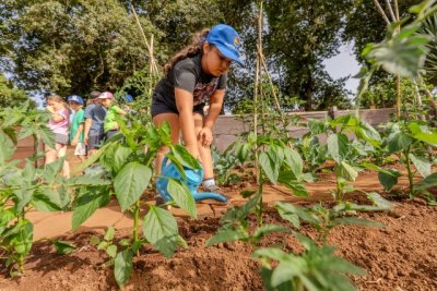 El Campus de Valleseco, una aventura para crecer entre naturaleza, deporte y sector primario