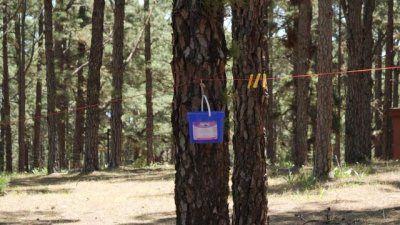 El papel de la cultura en la defensa de los derechos humanos, a debate en el Espacio La Granja