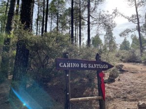 Especialistas de primer nivel se reúnen en el I Symposium del Camino de Santiago entre volcanes