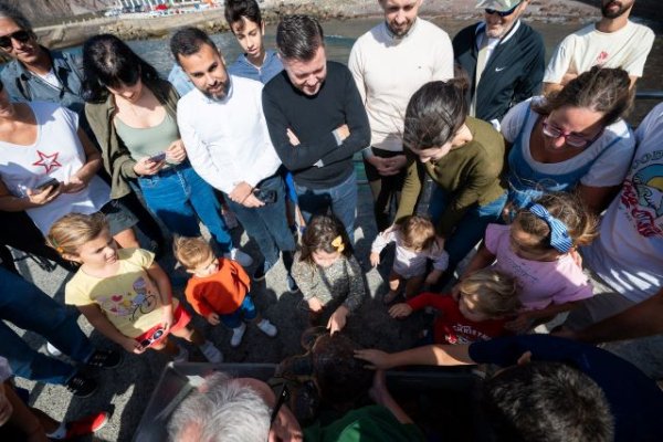 Gáldar: Dos tortugas marinas vuelven a casa por Navidad