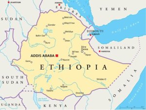 Artículo de opinión: &#039;Preguntas frecuentes sobre la búsqueda de Etiopía de su propio puerto en el Mar Rojo&#039;