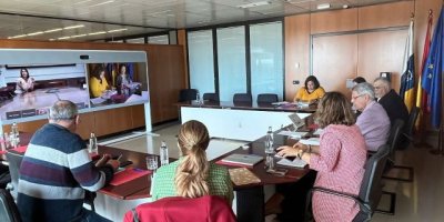 El Consejo Municipal de Canarias respalda el proyecto de ley de ordenaci&oacute;n y coordinaci&oacute;n de polic&iacute;as locales