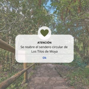 Villa de Moya: El sendero circular de Los Tilos de Moya reabre tras su restauración