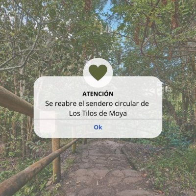 Villa de Moya: El sendero circular de Los Tilos de Moya reabre tras su restauraci&oacute;n