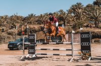 La XXVIII Copa Audi cierra una nueva edici&oacute;n consolidada como referente de la h&iacute;pica en Canarias