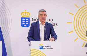 Se destinan 100.000 euros a la compra de plantas en el marco del Plan de Recuperación de la Piña de El Hierro