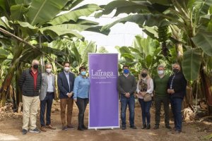 El Cabildo organiza una misión comercial para que el supermercado Alcampo nutra su frutería con producto local