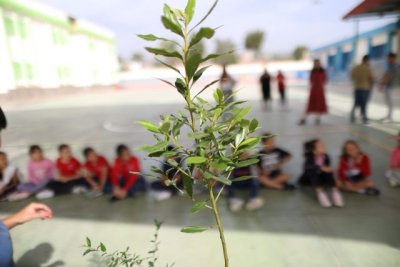 El CEIP Las Dunas, situado en San Bartolom&eacute; de Tirajana, el primer centro de Canarias en participar en el proyecto &lsquo;&Aacute;rboles&rsquo;