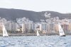La Vela Latina Canaria se une a celebrar el D&iacute;a de Canarias