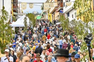 Gu&iacute;a: La Fiesta del Queso de Monta&ntilde;a Alta ofrece este domingo miles de degustaciones de sancocho canario, tortillas con miel, potaje de jaramagos y Queso de Gu&iacute;a