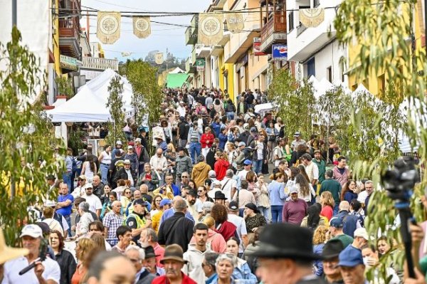 Gu&iacute;a: La Fiesta del Queso de Monta&ntilde;a Alta ofrece este domingo miles de degustaciones de sancocho canario, tortillas con miel, potaje de jaramagos y Queso de Gu&iacute;a