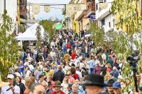 Gu&iacute;a: La Fiesta del Queso de Monta&ntilde;a Alta ofrece este domingo miles de degustaciones de sancocho canario, tortillas con miel, potaje de jaramagos y Queso de Gu&iacute;a