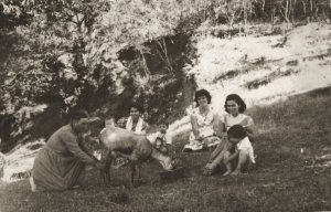 Instantáneas y vídeo ganadores del concurso “Valleseco, su Historia, Paisajes y Gentes” 2022