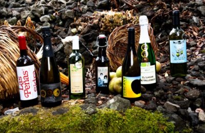 Las sidras de Valleseco participan en el Sal&oacute;n Internacional de las Sidras de Gala