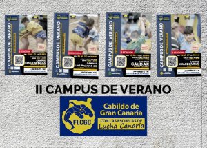 La Federación Insular y el Instituto Insular de Deportes del Cabildo de Gran Canaria organizan el II Campus de Verano de Lucha Canaria
