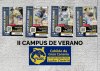 La Federación Insular y el Instituto Insular de Deportes del Cabildo de Gran Canaria organizan el II Campus de Verano de Lucha Canaria