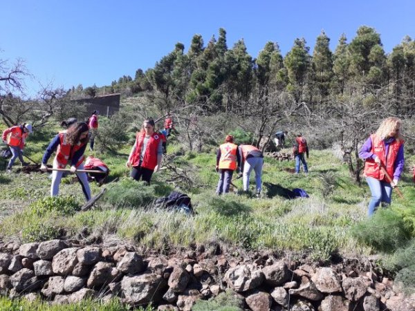 Cruz Roja Juventud propone incorporar nuevos hábitos que repercutan positivamente en el entorno con ‘Acciones que van, gestos que vuelven’