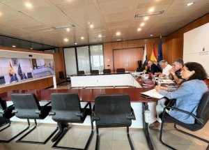 El Gobierno canario se reúne con Interior para avanzar en el traspaso de las competencias en Seguridad Privada