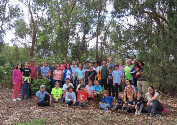 Villa de Firgas: Nueva plantación de Laurisilva en Las Huertecillas por colectivos sociales de Valleseco y Firgas