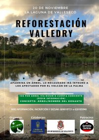 Valleseco: Reforestaci&oacute;n Valledry, apadrina un &aacute;rbol por La Palma