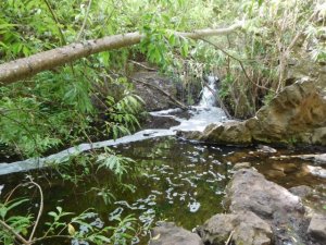 Transición Ecológica estudia posibles sanciones por vertidos en el barranco de Azuaje, en Gran Canaria
