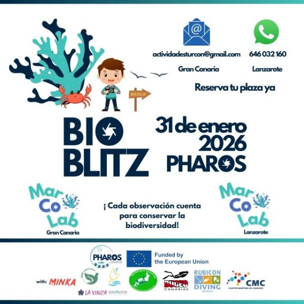 Senderismo: Encuentro con la biodiversidad del litoral de Gran Canaria