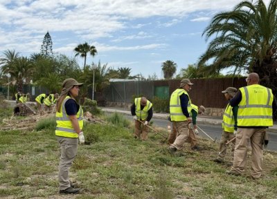 Limpieza retira 36 toneladas de residuos en barrios y zonas perif&eacute;ricas desde diciembre